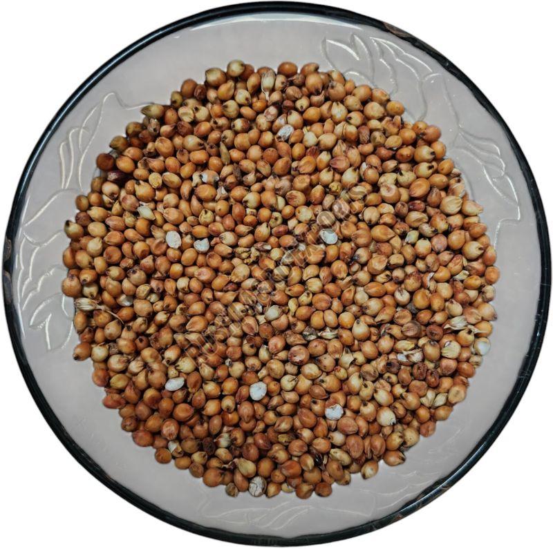 Red Sorghum Millet Seeds