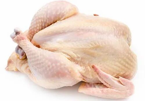 Fresh Chicken Meat, Packaging Type : Plastic Packet