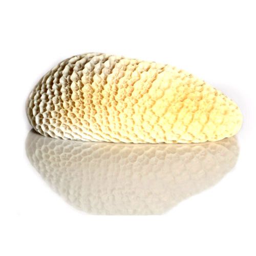 Offals Buffalo Reticulum Meat