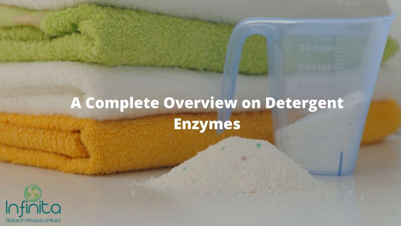 ECOENZYME Detergent Enzymes Blend, Packing Type : HDPE Drums