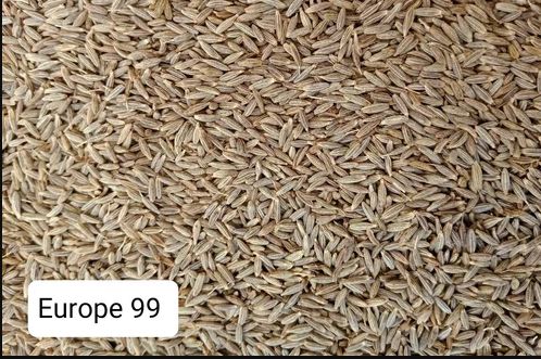 Brown Europe Quality Cumin Seeds, for Cooking