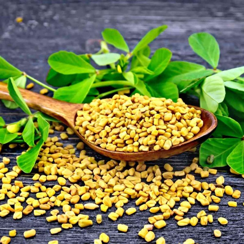Yellow Granules Raw Natural Fenugreek Seed, for Spices, Cooking, Grade Standard : Food Grade
