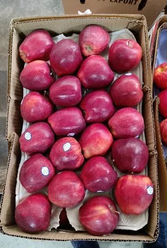 Natural Red Delicious Turkey Apple, for Human Consumption, Packaging Type : Box