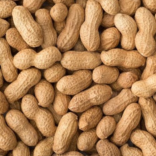 Brown Raw Groundnuts