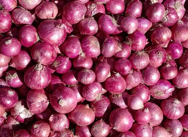 red onion