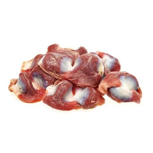 Frozen Chicken Gizzard (Institutional Pack), Feature : Hygienically Packed, Delicious