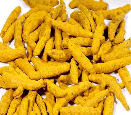 Dry Turmeric Finger, for Cooking, Spices, Shelf Life : 9 Month