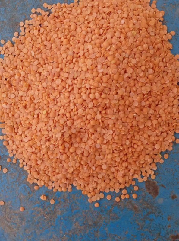 Red Split Lentils