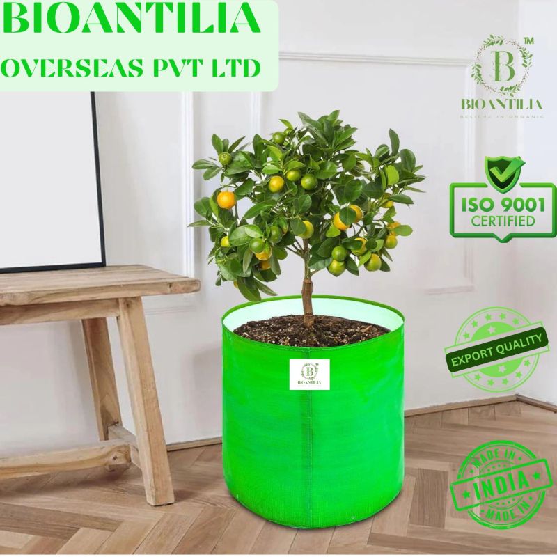 Round 12X12 Inch Green HDPE Grow Bag