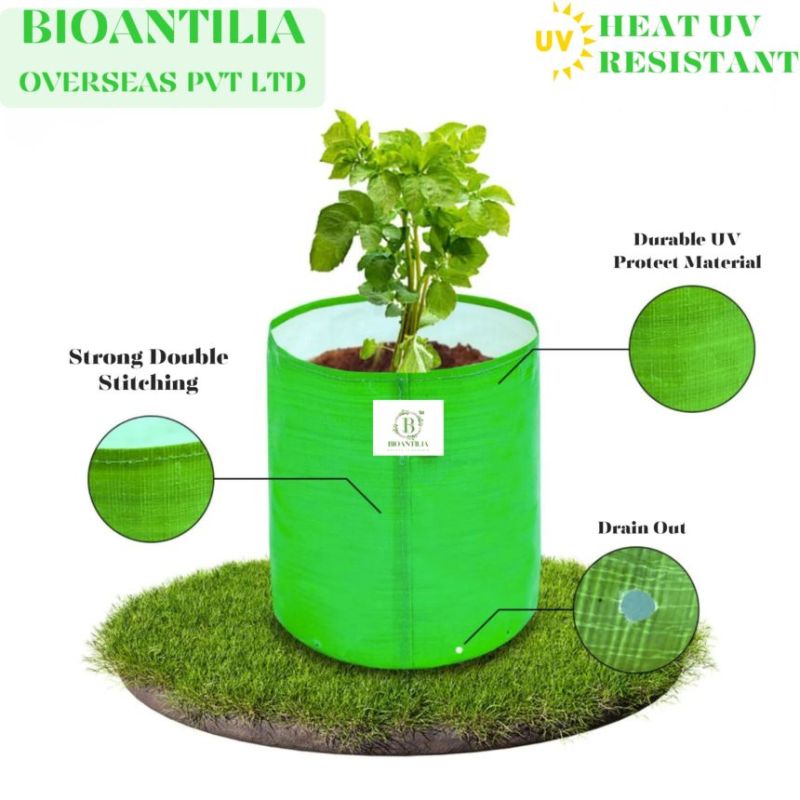 Round 9×9 Inch Green HDPE Grow Bag
