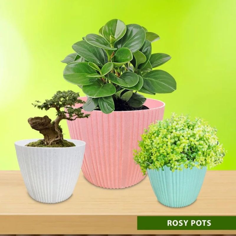 Multicolor Round Rosy Plastic Pot, for Planting, Feature : Attractive Pattern, Hard Structure, Long Life