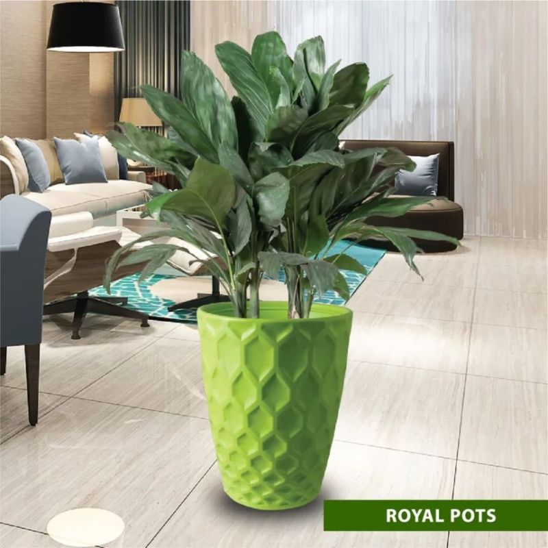 Green Round Royal Plastic Pot, for Planting, Feature : Attractive Pattern, Hard Structure, Long Life