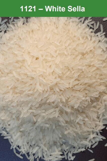1121 white sella rice