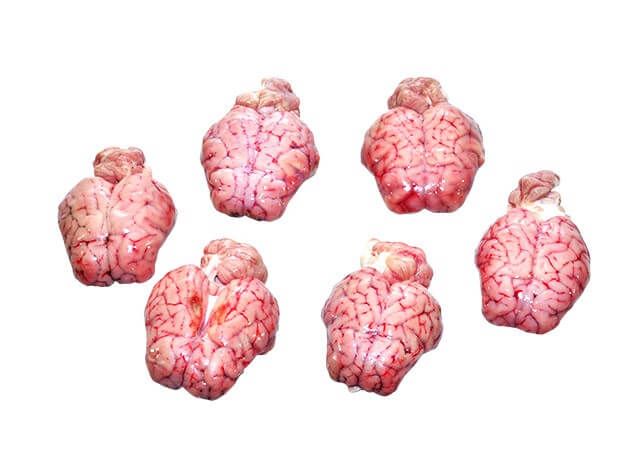 Frozen Mutton Brain