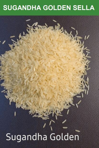sugandha golden sella rice