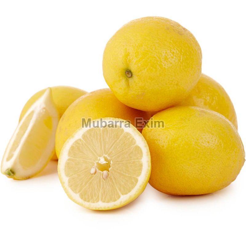 Organic fresh lemon, Packaging Type : Net Bag
