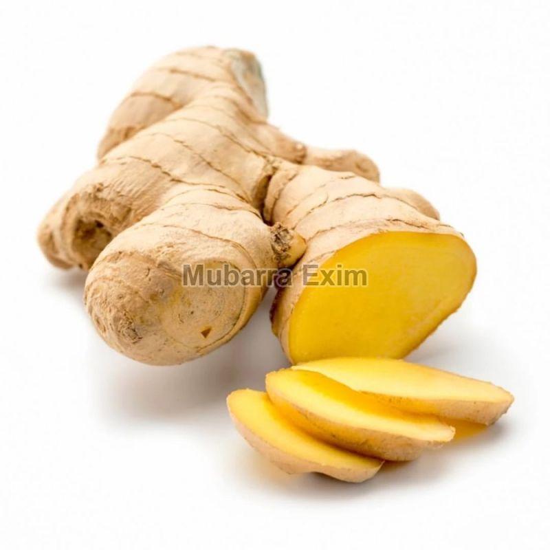 Whole Natural Ginger, for Cooking, Packaging Type : Jute Bag