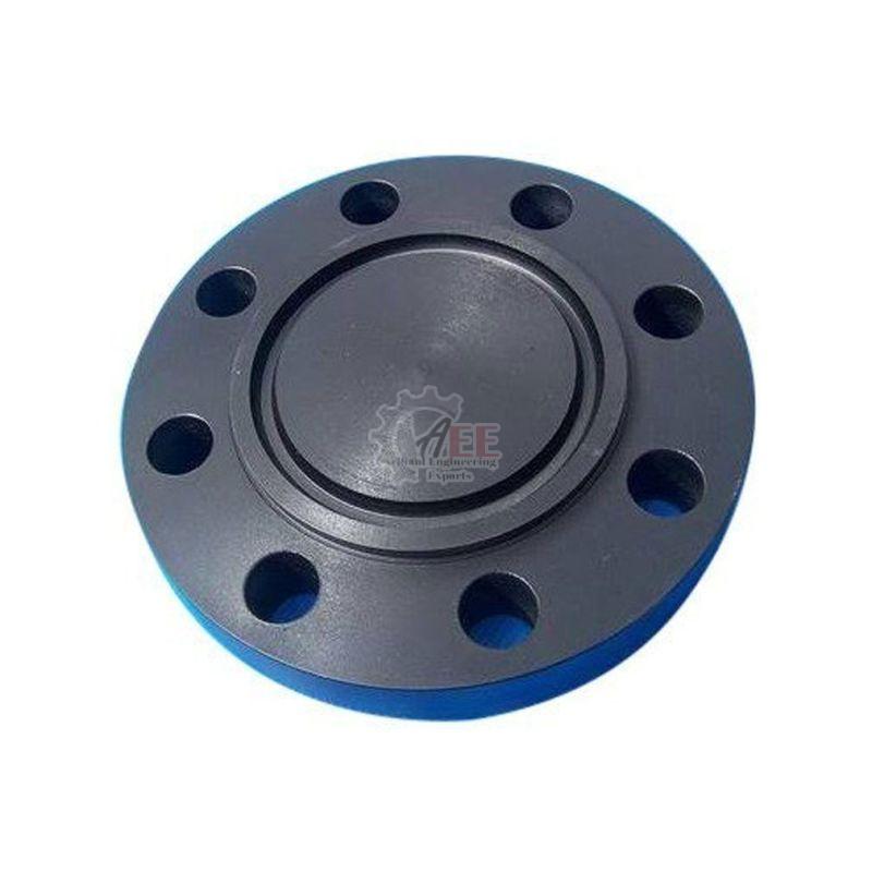 Carbon Steel Ring Type Joint Flanges