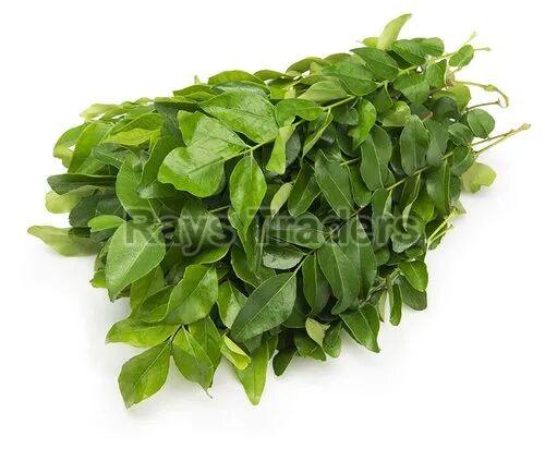 Green Leaves Natural Curry Leaf, for Cooking, Grade Standard : Food Grade