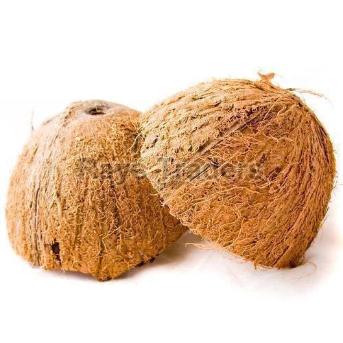 raw coconut shell