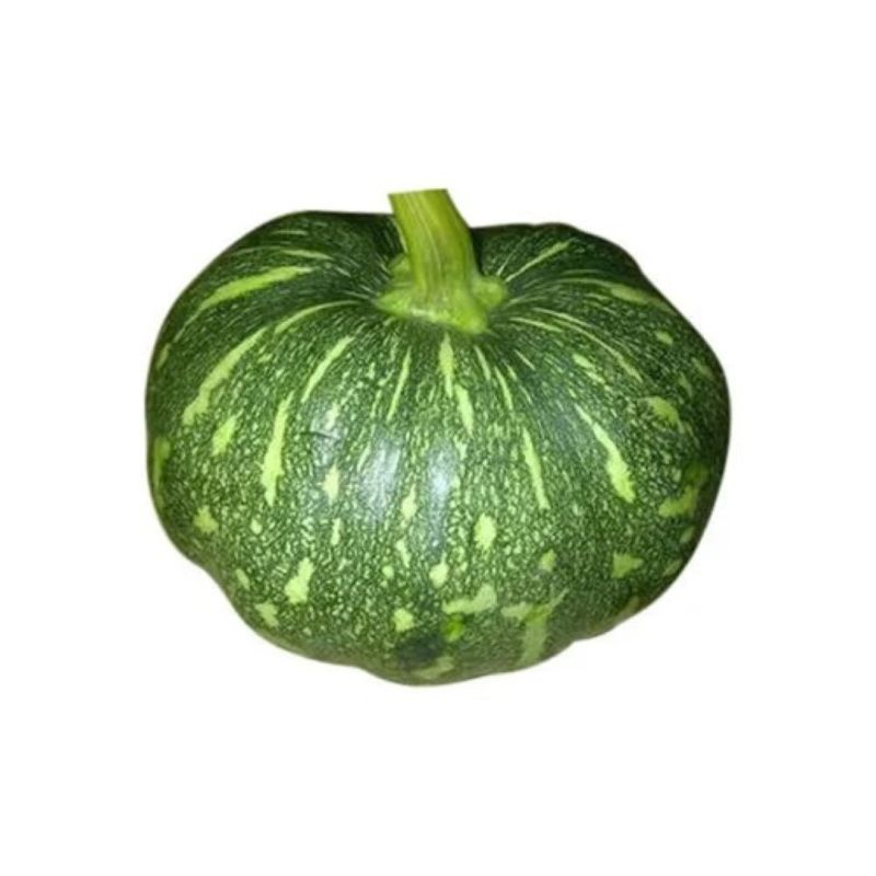 Fresh Green Pumpkin