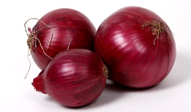 Fresh red onion, Shelf Life : 10
