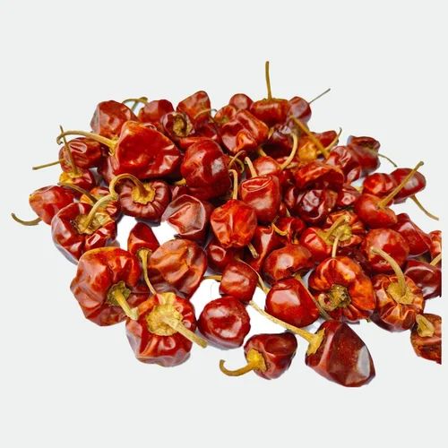Natural Mundu Dried Red Chilli, for Cooking, Packaging Type : Gunny Bags