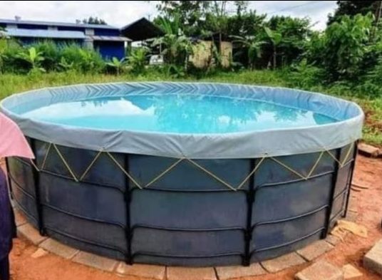 650 GSM 3 Diameter Tarpaulin Biofloc Aquaculture Tank