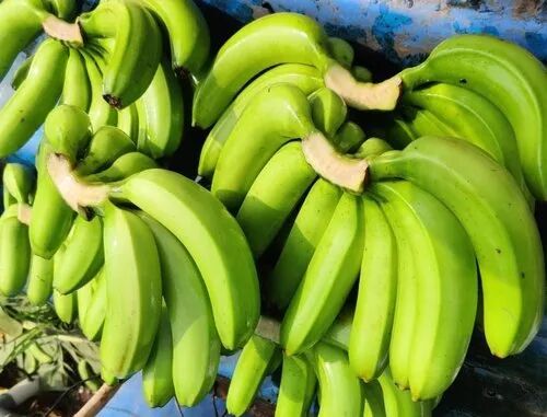 A Grade Green Banana