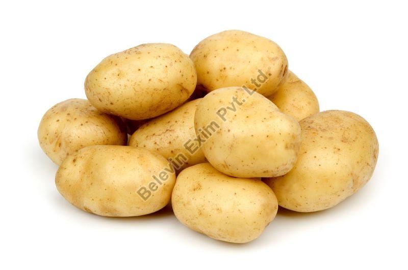 Organic fresh potato, Packaging Type : Carton Box