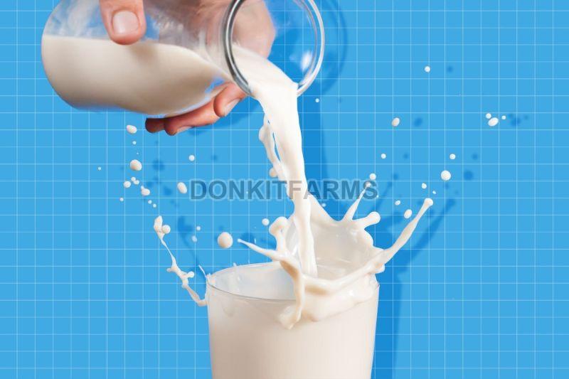 White Liquid donkey milk, for Medicine Use, Packaging Type : Plastic Can