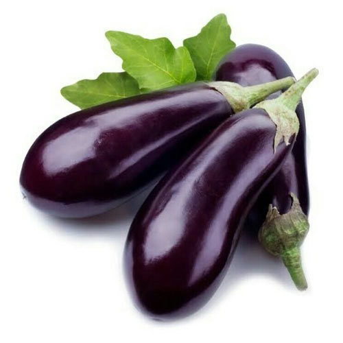 fresh brinjal