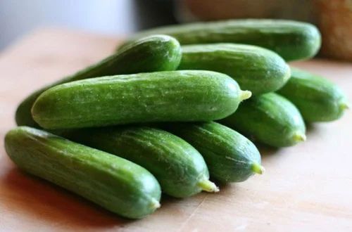 fresh cucumber