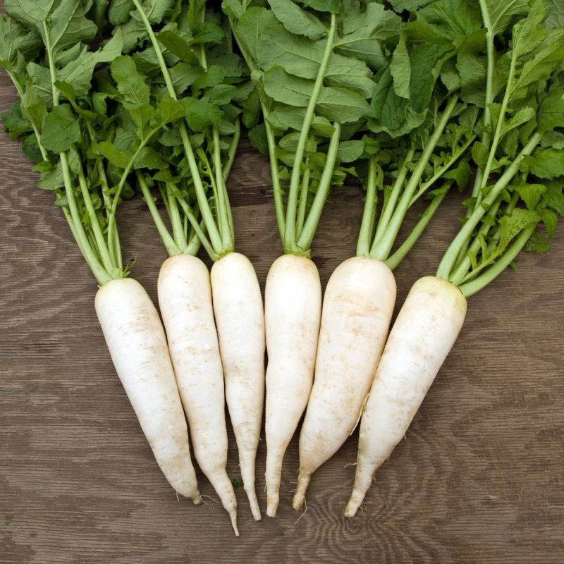 White Fresh Radish, For Salad, Cooking, Shelf Life : 10 Days