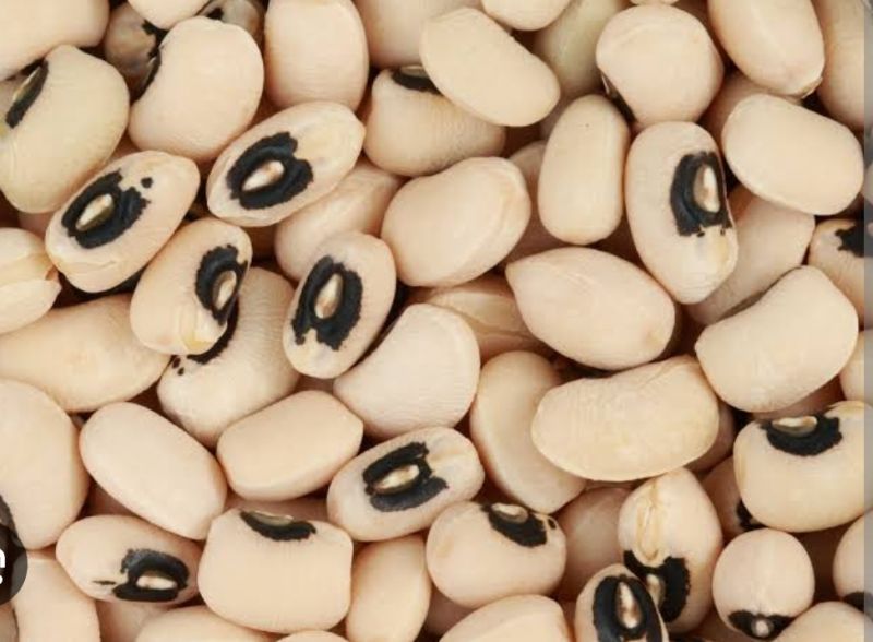 Natural Black Eyed Beans, Grade Standard : Food Grade