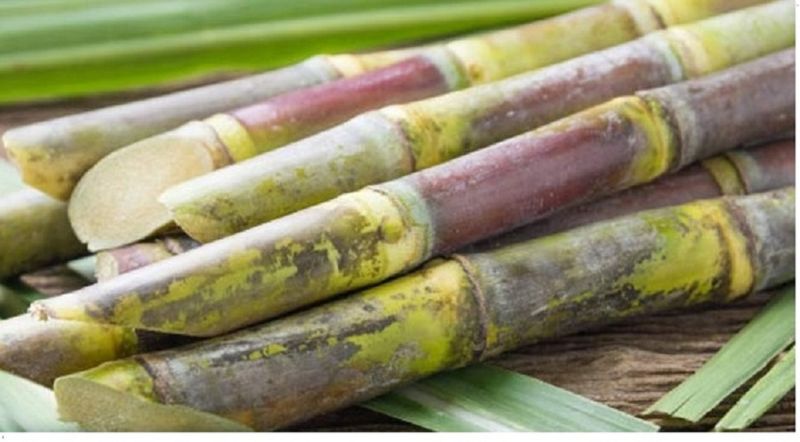 Natural Sugarcane