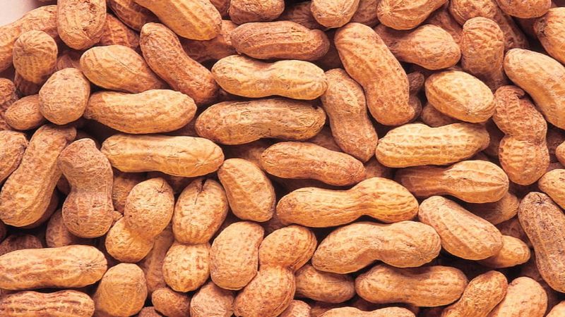 Peanuts, Feature : Gluten Free