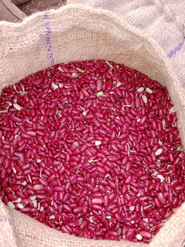 Red Oval Natural Rajma, for Cooking, Packaging Size : 50 kg