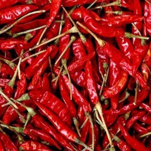 Dried Red Chili