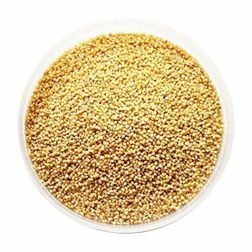 Foxtail Millet Seeds