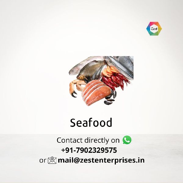 Varying Cephalopods Fish Frozen Seafood, for Wholesale, Retail, Export