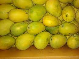 Light Green Natural Fresh Badami Mango, for Juice Making, Direct Consumption, Packaging Size : 10 Kg
