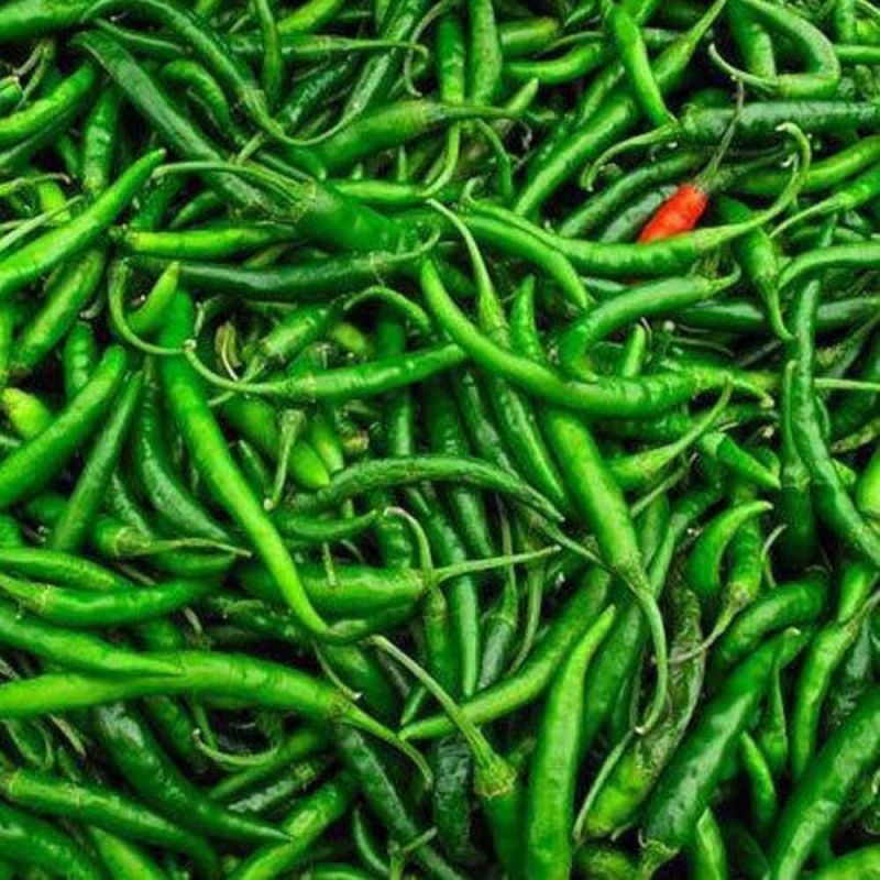 Fresh G4 Green Chilli, for Human Consumption, Packaging Size : 10kg