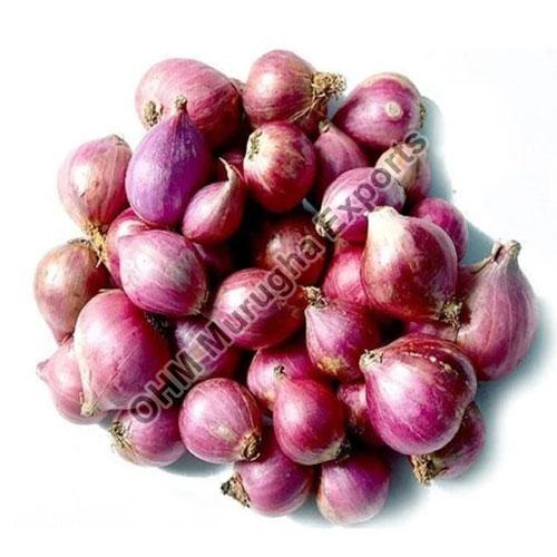 Red Organic Fresh Small Onion, for Cooking, Shelf Life : 1month