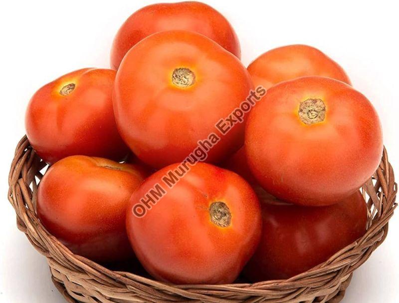 fresh tomato