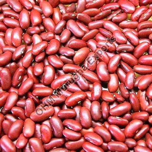 Oval Organic Red Kidney Beans, for Cooking, Shelf Life : 1Year