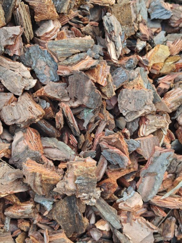 Pine Bark
