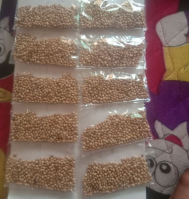 Organic coriander, for spices, Packaging Size : PP Bag
