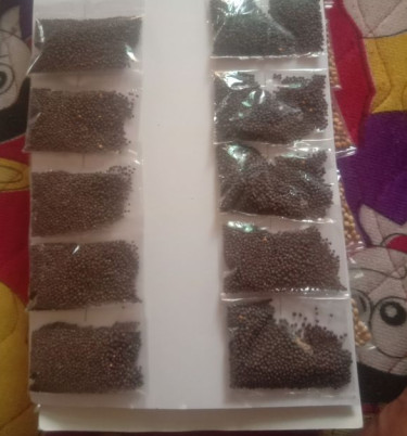 Organic Rye Seeds, For Cooking, Packaging Type : Plastic Bag