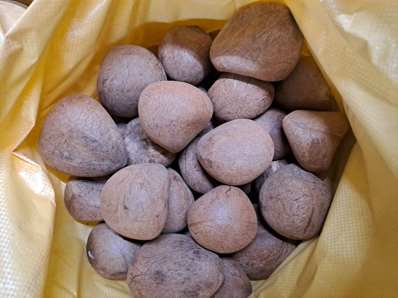 Brown Natural Coconut Copra, for Medicines, Pooja